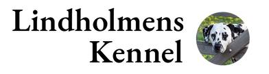 Lindholmens